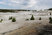 Yellowstone National Park.
Spectral Portion Landscape In Yellowstone National Park With Dead Plants And Fumaroles.