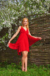 © Sergios - Young beautiful blonde in a red dress in a blooming garden against the background of a hedge of twigs. Spring outdoor