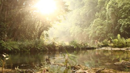 Wall Mural - sunset at semuc champey