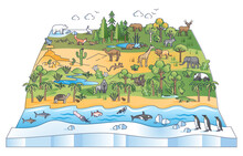 Biodiversity Scene With Flora And Fauna Ecological Zones Outline Diagram. Latitudinal Zonation Gradients With Wildlife Species Population Vector Illustration. Earth Environmental Animals Distribution.