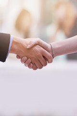 Wall Mural - Pleasure doing business with you. Shot of two businesspeople shaking hands.