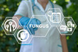 Medical concept of mold fungus. Mold spores of source of hard diseases development. Mildew stop.