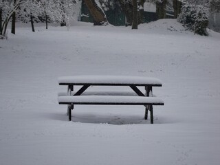 Canvas Print - Park Bench in Snow