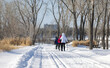 © Nicolas St-Germain - Cross country skiing in a park during winter