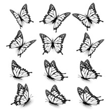 Collection Of Butterflies, Flying In Different Directions. Butterfle Silhouette. Vector.