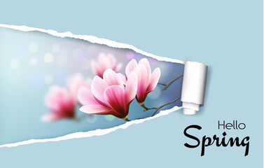Poster - Ripped by hand paper background, revealing spring blossom magnolia branches. Vector.