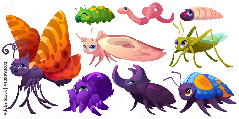 Cute insect characters, butterfly, caterpillar, spider, grasshopper ...
