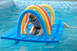 © ninelutsk - Toddler child crawling through tunnel on the water. Kid playing and learning to swim dive with equipment and toys in swimming pool in goggles. Boy doing early physicals development activities
