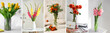 Vases with beautiful bouquets of fresh flowers in room