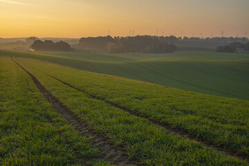 Wall Mural - sunrise over a green farmland