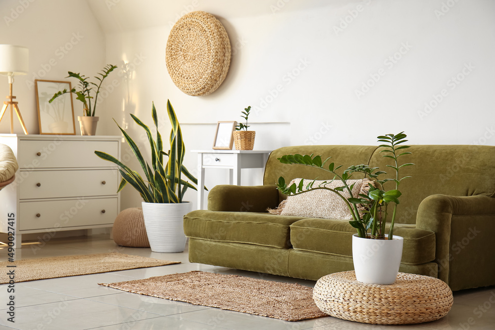 Comfortable sofa, houseplants and pouf near white wall in room