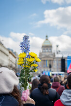 Woman Activist Holds Flowers In The Colours Of The Ukrainian Flag During Protests Against The Russian Invasion Of Ukraine. Demonstration In Prague