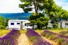 Caravan Camping At Lavender Field, France