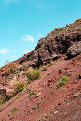 Poster - Vesuvius National Park is an Italian national park centered on the active volcano Vesuvius, southeast from Naples.