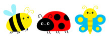Ladybug Ladybird, Bee Bumblebee, Butterfly, Lady Bug. Insect Set Line. Cute Cartoon Funny Kawaii Baby Animal Character. Flat Design. White Background. Isolated.