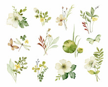 Watercolor Vector Bouquet Set With Green Foliage And Flowers.