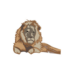 Wall Mural - lion illustration clipart design vector icon