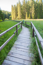  Wooden Footpath Over Wetland At Natural Reserve. Summer Day. Natural Light. Adventure In Nature.