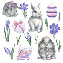 A Set Of Watercolor Images Of Lilac Crocuses, Easter Eggs And Easter Bunnies.