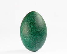 Ostrich Green Egg On A Light Gray Background, Front View, Close-up.