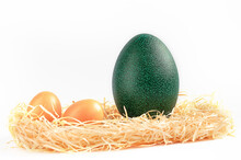 One Ostrich Green Egg And Two Chicken Eggs On Straw On A White Background Isolated Front View, Copy Space.
