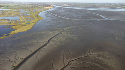 Luftaufnahmen von dem norddeutschen Wattenmeer an der Eider, Nordsee. Im Schlick und Watt sind bei Ebbe einzelne Priele sowie Watt-Vögel zu sehen.