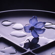 canvas print picture - Blaue Blume mit Wasserflaechen