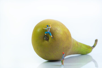 Wall Mural - a climber climbs a pear