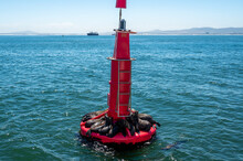 Sea Lions Lying On The Red Channel Marker Buoy And Seagull Sitting On Top Of It. Floating Beacon With Animals.