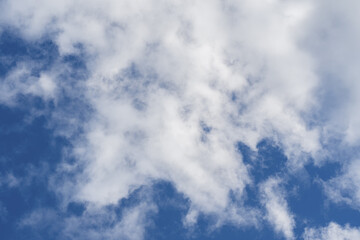 Wall Mural - summer sky with a large white fluffy cirrus cloud.