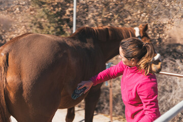 Sticker - Girl in pink taking care of a horse.