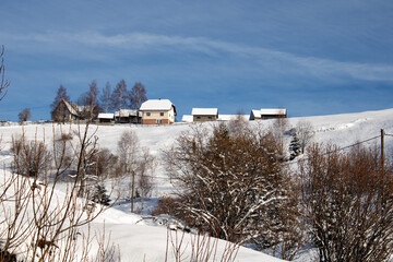 Canvas Print - Houses in a snowy forest under the blue sky