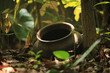 Many old earthen pots are lying in the forest