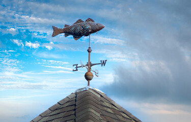 codfish weathervane at chatham, cape cod fish pier
