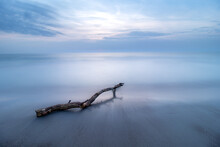 Beautiful Shot Of A Seascape And A Tree Trunk Under The Cloudy Skies