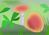 Fototapeta Desenie - Picture of two mushrooms out in the woods between grass and green leaves.
