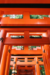 Poster - Beautiful shot of a Fushimi Inari-taisha in Japan