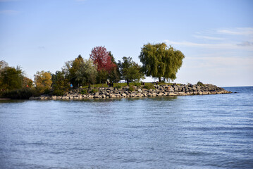 Sticker - Beautiful shot of a small park near the lake