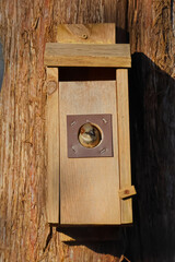 Poster - Vertical of a wooden birdhouse hanging on a log of a tree with a tiny bird inside