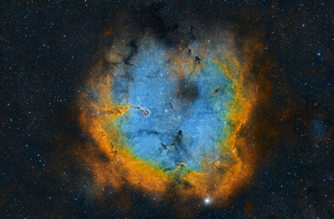 Wall Mural - A view of the Elephant trunk nebula in the star filled sky