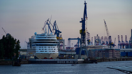Wall Mural - Cruise ship in dock in Hamburg