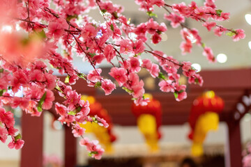 Wall Mural - Selective focus shot of fake cherry blossom flowers as decoration for the Chinese New Year holiday