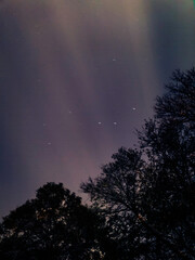 Wall Mural - Light pillars in the beautiful night sky
