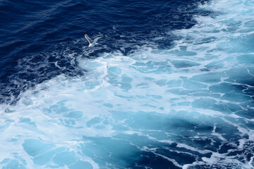 Sticker - Aerial view of seagull bird flying over sea waves on a sunny day