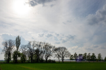 Poster - Beautiful view of a field with cloudy sky background