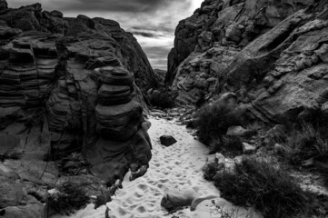 Wall Mural - Dramatic grayscale shot of rock formation in a park