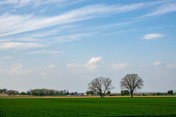 Wall Mural - beautiful shot of the landscape with the rain clouds and trees