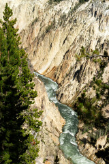 Canvas Print - Beautiful landscape of the Yellowstone Grand Canyon