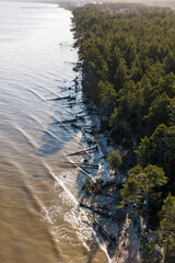 Wall Mural - Aerial view of forest, storm broken trees, shadows and Baltic sea, Kolka, Latvia.