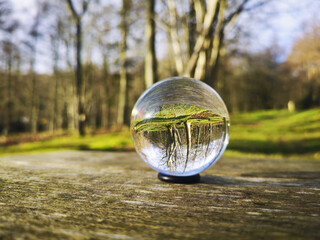 Wall Mural - closeup shot of a crystal ball placed in the floor of the forest